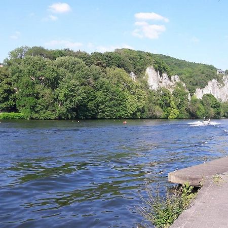 Vue Sur Meuse Διαμέρισμα Profondeville Εξωτερικό φωτογραφία