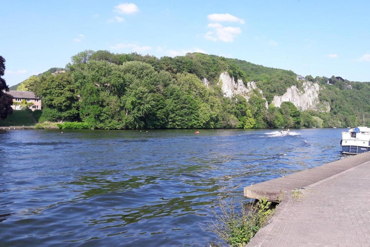 Vue Sur Meuse Διαμέρισμα Profondeville Εξωτερικό φωτογραφία