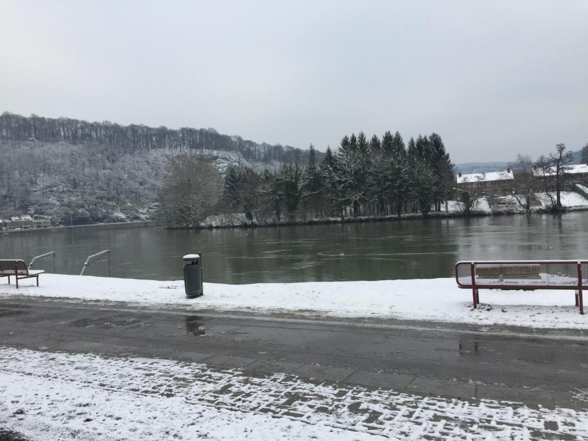 Vue Sur Meuse Διαμέρισμα Profondeville Εξωτερικό φωτογραφία